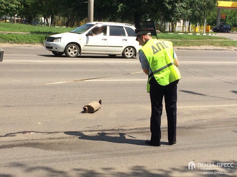 Инспектор пенза